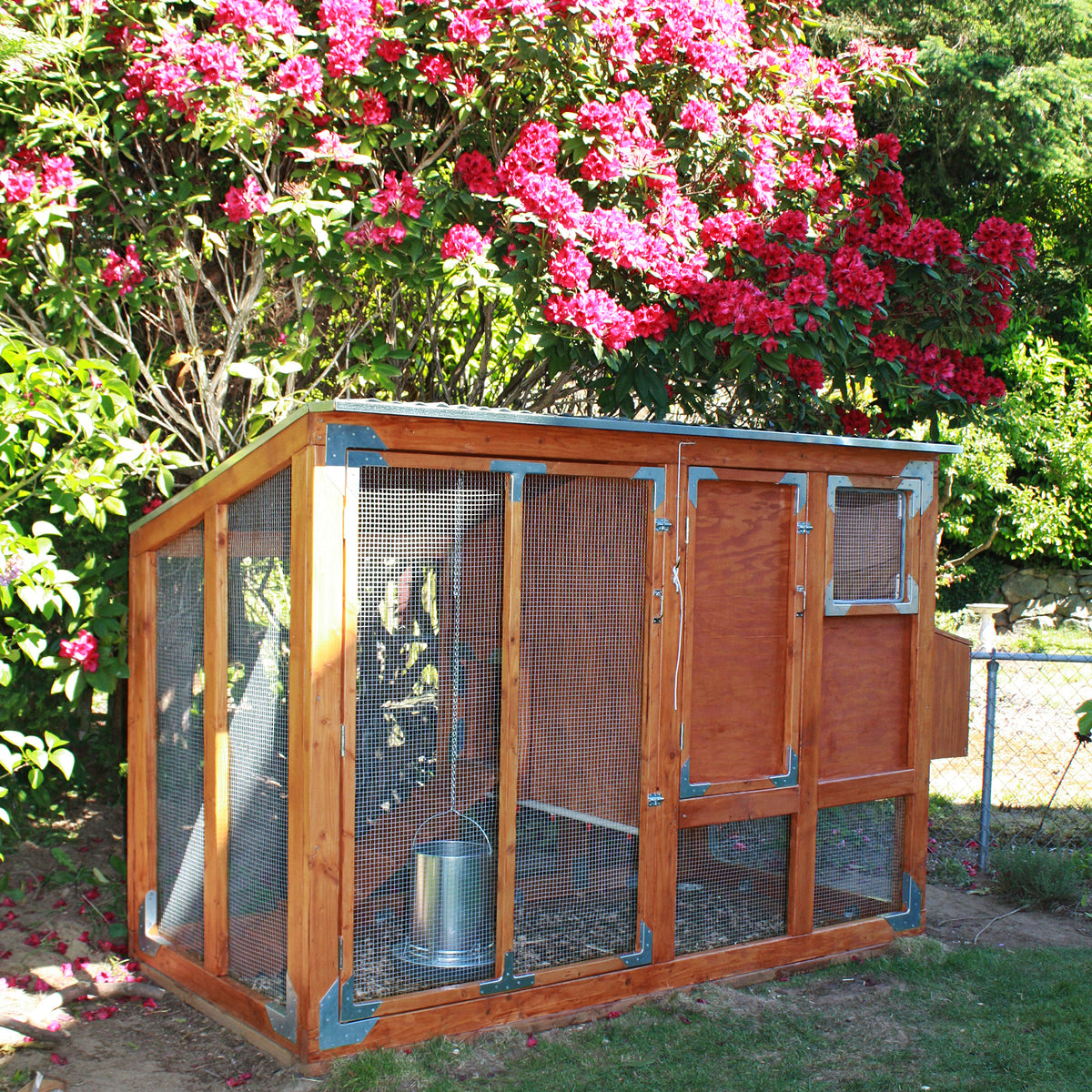 DIY chicken coop